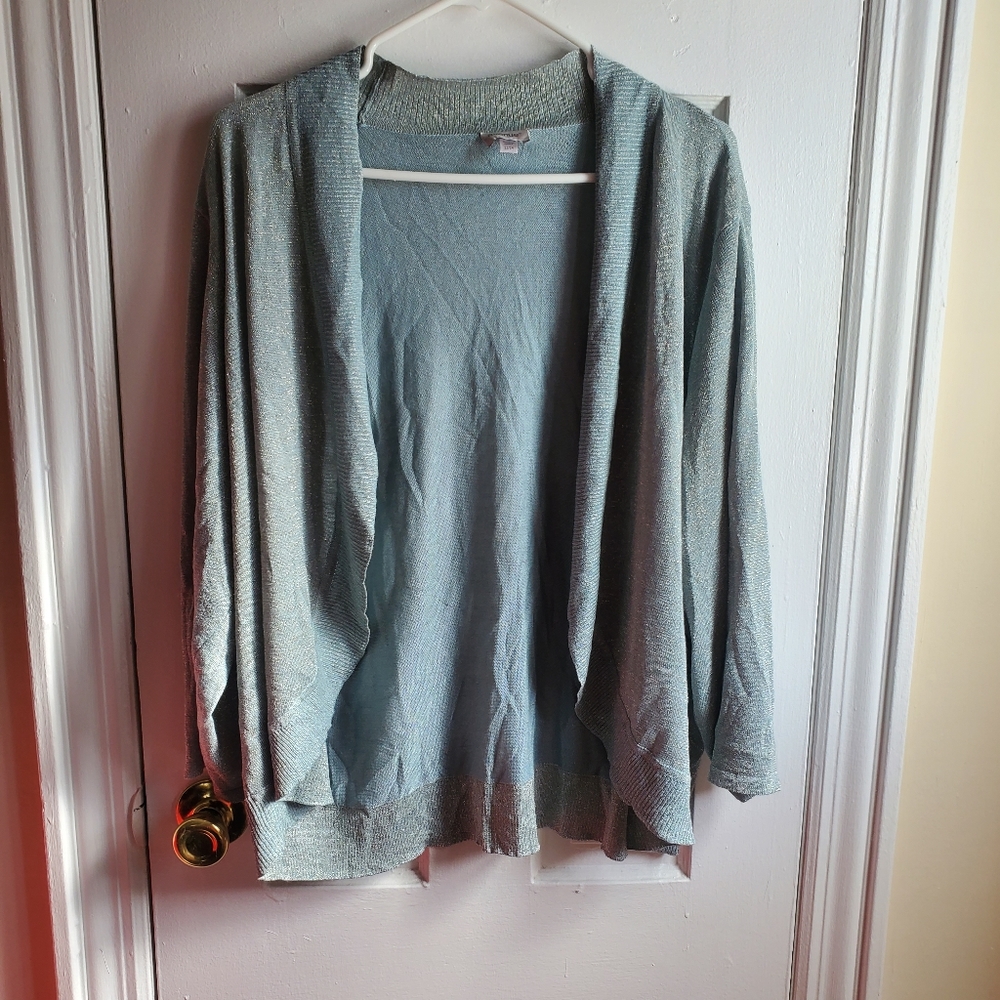 Blueish Silver Sweater